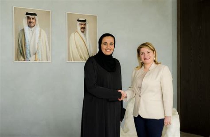Al-Mayassa bint Hamad bin Khalifa Al-Thani Biography, Age, Height, Husband, Net Worth, Family