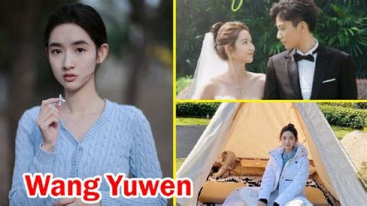 Wang Yuwen Biography, Age, Height, Husband, Net Worth, Family